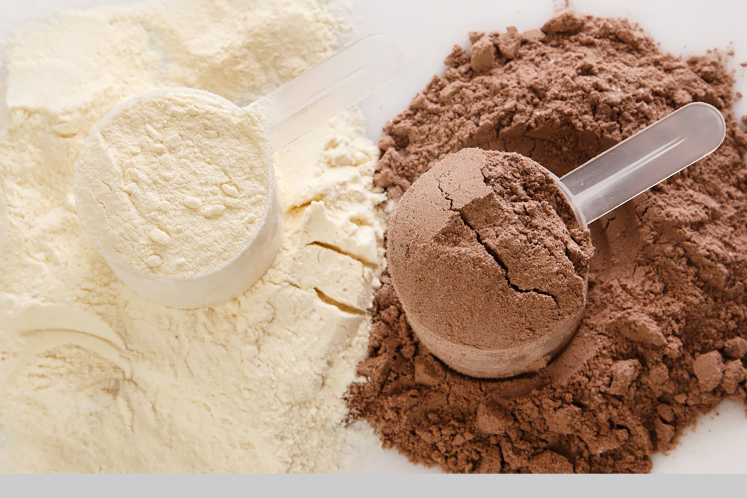 Protein Powder: Hemp vs. Whey