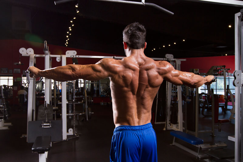 The Ultimate Back Workout