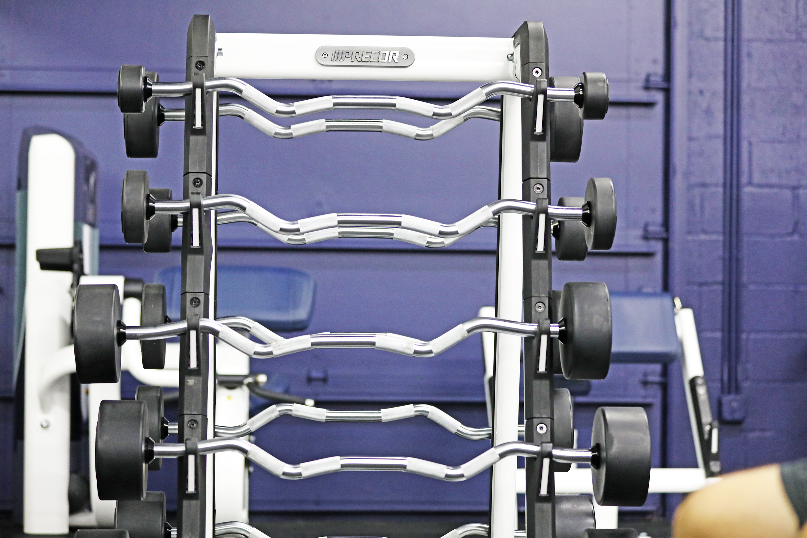 Preset EZ Curl Bars