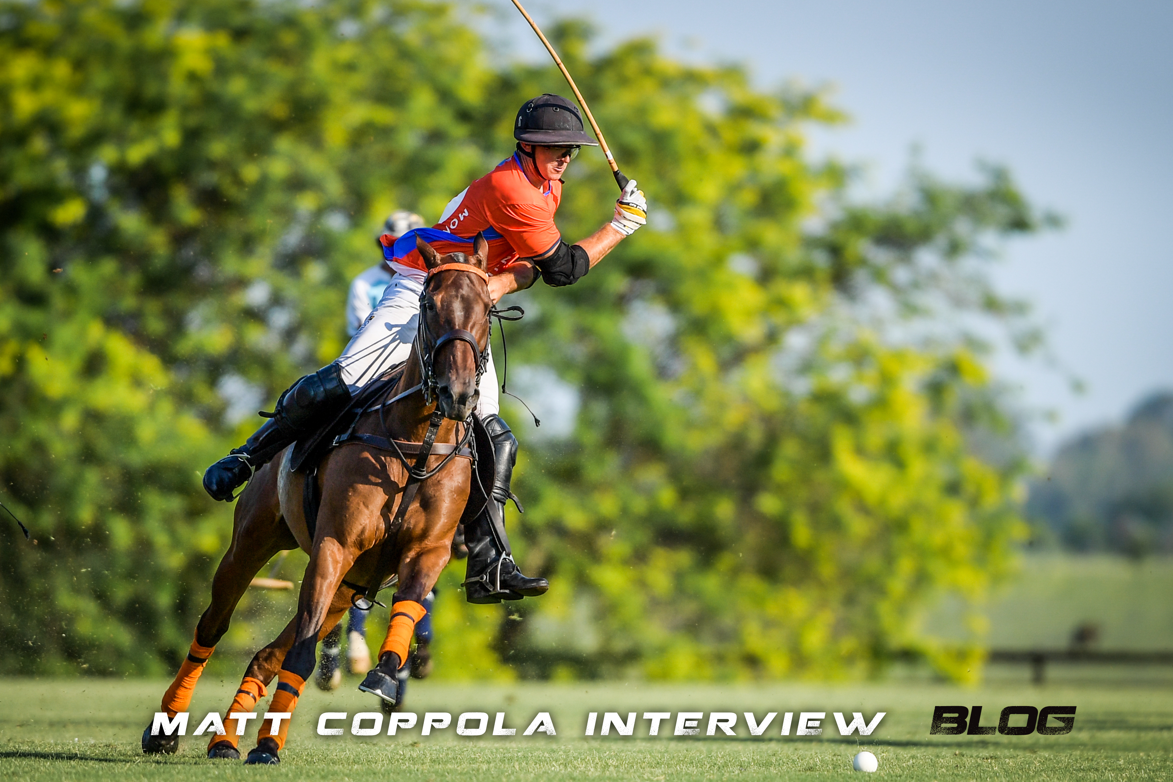 Q & A: Matt Coppola