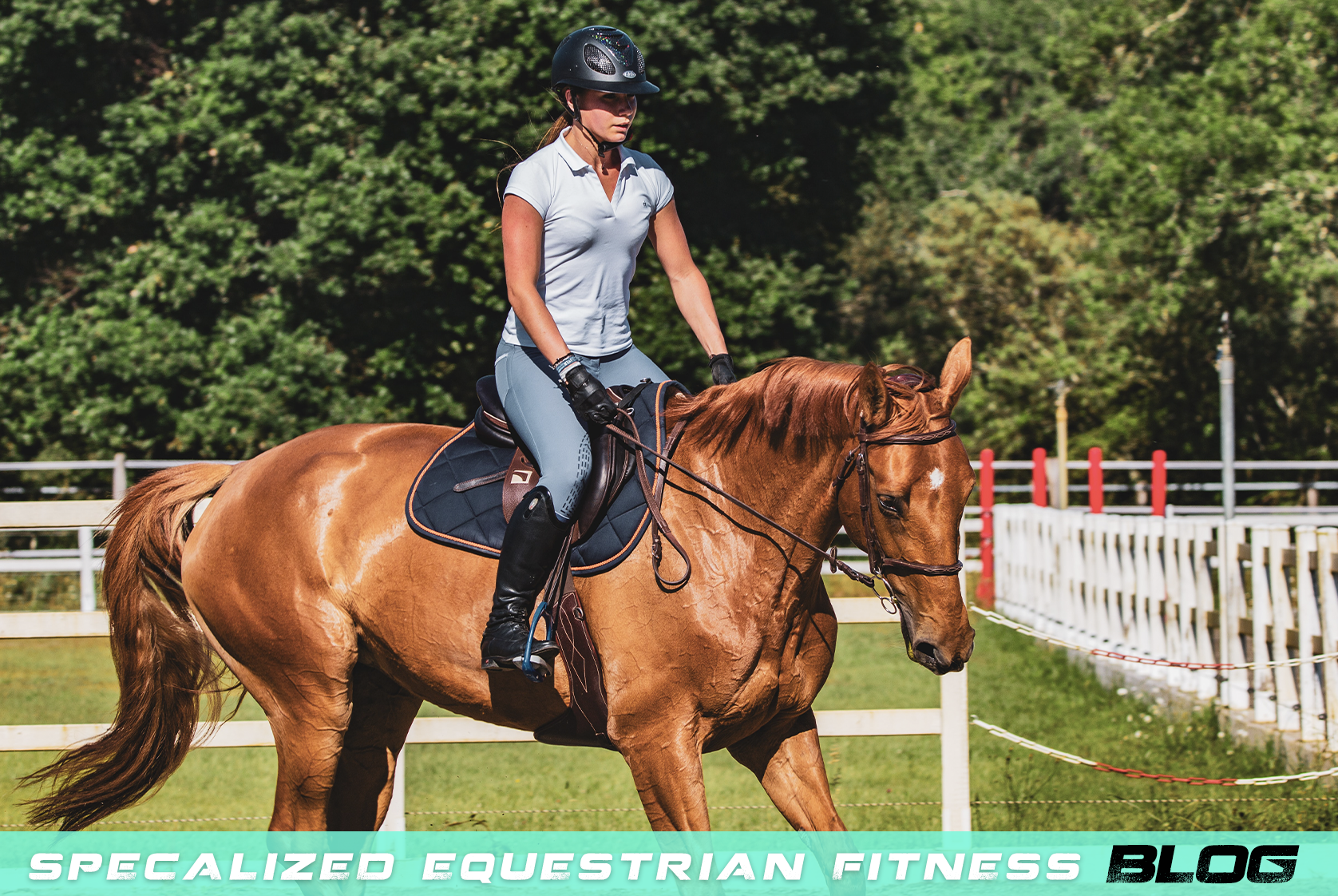 Fit To Ride: Physical Fitness for Equestrian Athletes